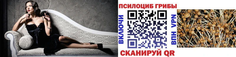 Псилоцибиновые грибы ЛСД  как найти наркотики  Славгород 