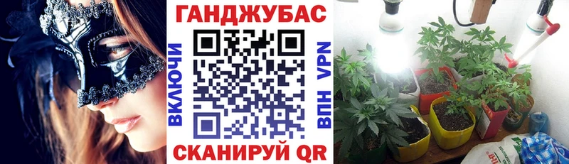 Бошки Шишки планчик  Славгород 